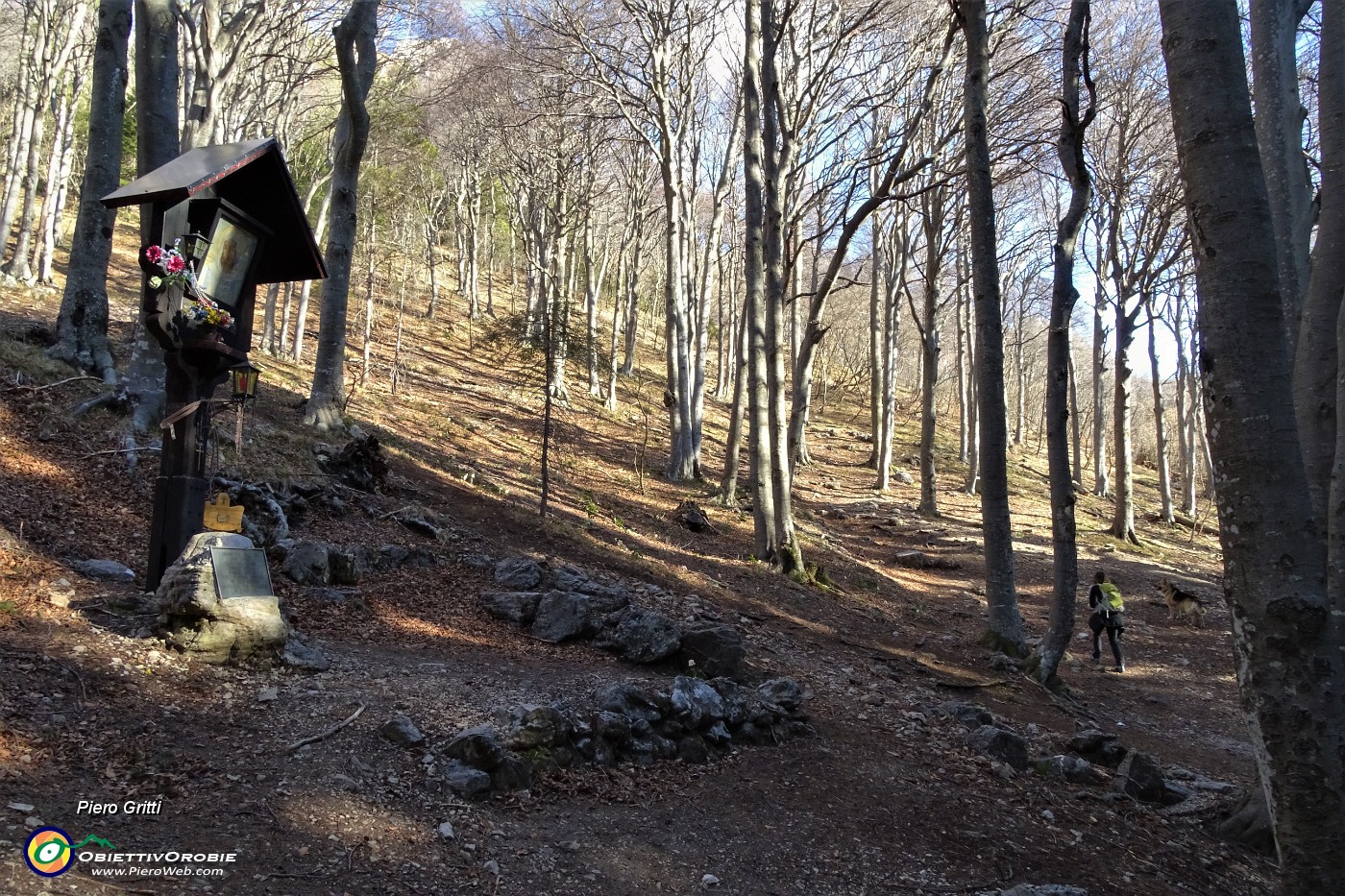 13 Nella faggeta del 'Bosco Giulia' la Madonnina 'sulla nostra via'.JPG